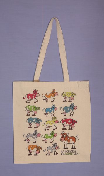 BAG CANVAS MR INCREDIBULL