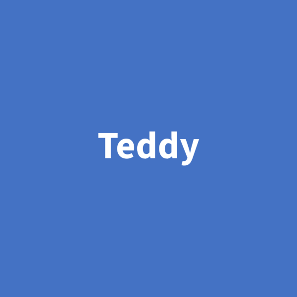 Teddy