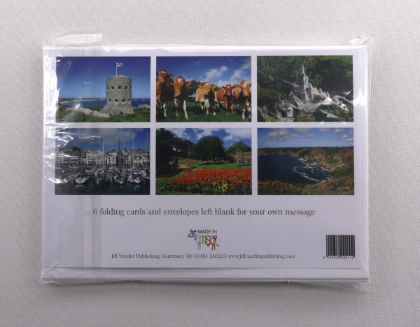 CARDS 6 PACK ASSORTED PHOTO BLANK