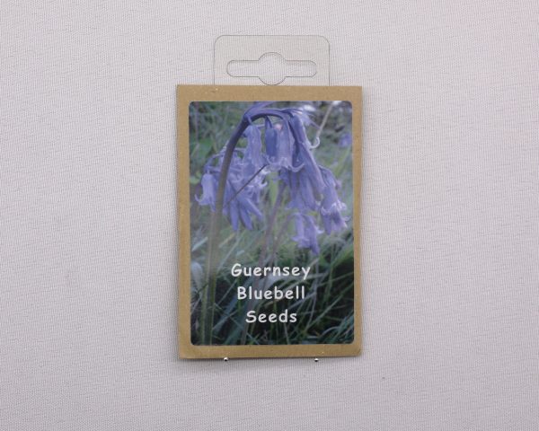 BLUEBELL SEEDS WILDFLOWER