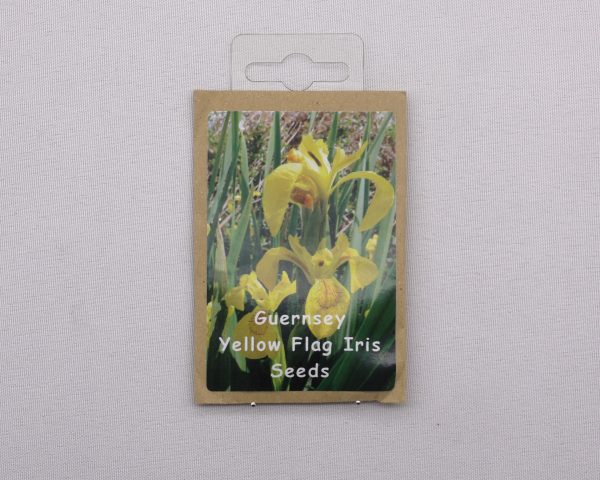 YELLOW FLAG IRIS SEEDS WILDFLOWER