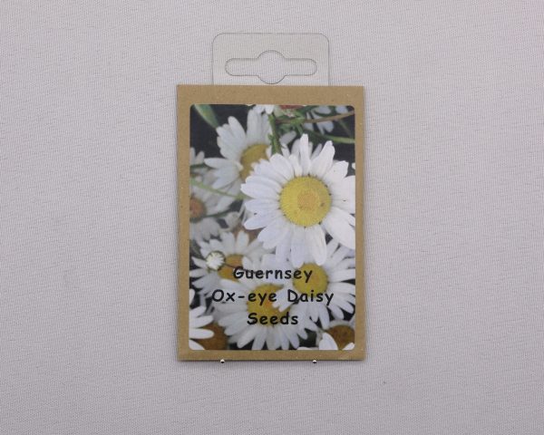 OX EYE DAISY SEEDS WILDFLOWER